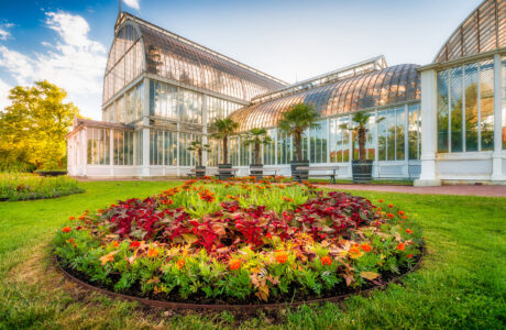 Gothenburg Greenhouse Jigsaw Puzzle