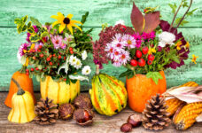 Gourd Flower Vases