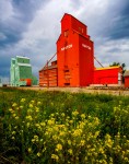 Grain Elevators