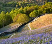 Grasmere Trail