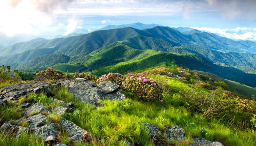 Grassy Ridge Jigsaw Puzzle