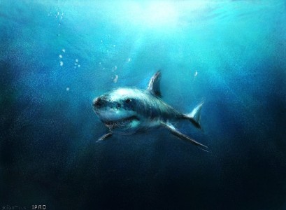 Great White Shark Jigsaw Puzzle