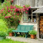 Green Bench