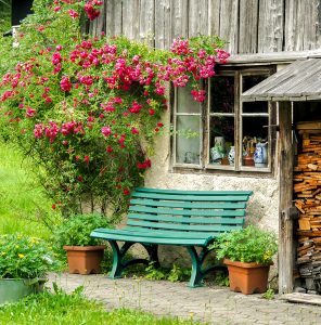 Green Bench Jigsaw Puzzle