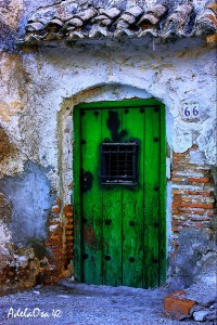 Green Door Jigsaw Puzzle