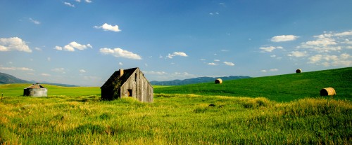 Green Fields Jigsaw Puzzle