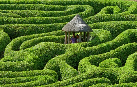 Green Maze Jigsaw Puzzle