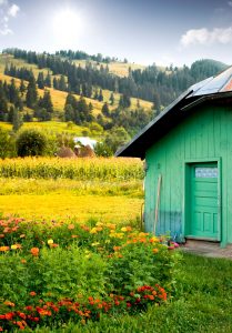 Green Shed Jigsaw Puzzle