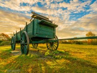 Green Wagon