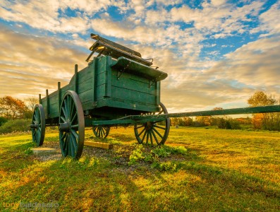 Green Wagon Jigsaw Puzzle