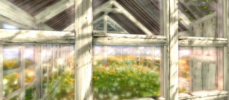 Greenhouse Windows