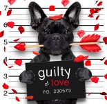 Guilty of Love