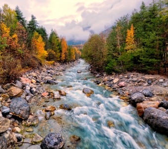 Gyronde River Jigsaw Puzzle