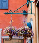 Hanging Bouquets