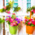 Hanging Flower Pots Jigsaw Puzzle