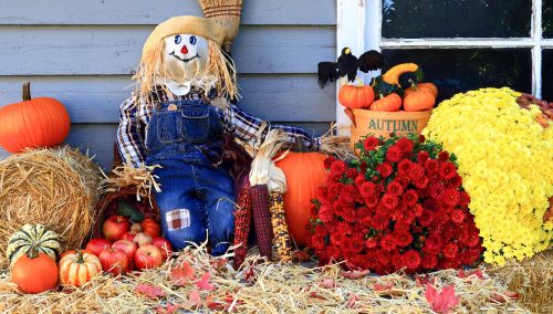 Happy Scarecrow Jigsaw Puzzle