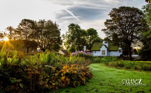 Harold Park Jigsaw Puzzle