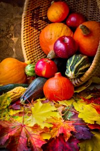 Harvest Basket Jigsaw Puzzle