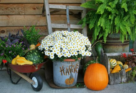 Harvest Decorations Jigsaw Puzzle