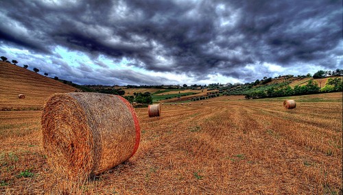 Hay Bales Jigsaw Puzzle