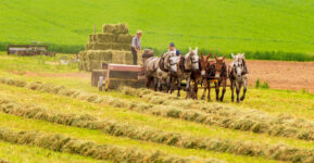 Hay Baling