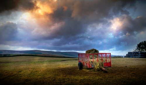 Hay Feeder Jigsaw Puzzle