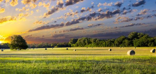 Hay Field Jigsaw Puzzle