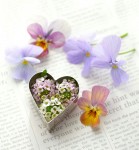 Heart and Flowers