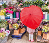 Heart Umbrella