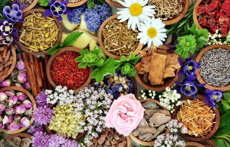 Herbs and Flowers Jigsaw Puzzle