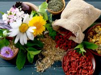 Herbs, Berries, and Flowers