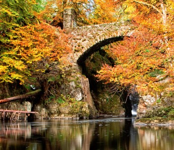 Hermitage Bridge Jigsaw Puzzle