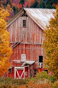 Hidden Barn Jigsaw Puzzle