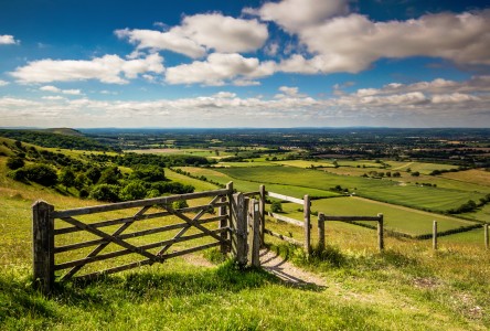 High Gate Jigsaw Puzzle