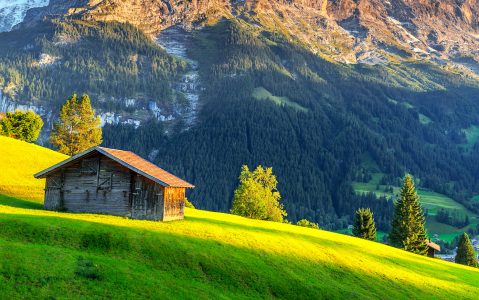 Highlands Barn Jigsaw Puzzle