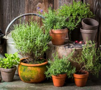 Homegrown Herbs Jigsaw Puzzle