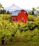 Hood River Valley Barn