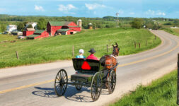 Horse and Buggy Jigsaw Puzzle