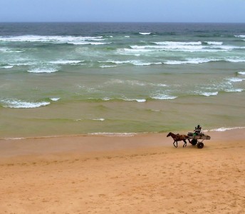 Horse and Cart Jigsaw Puzzle