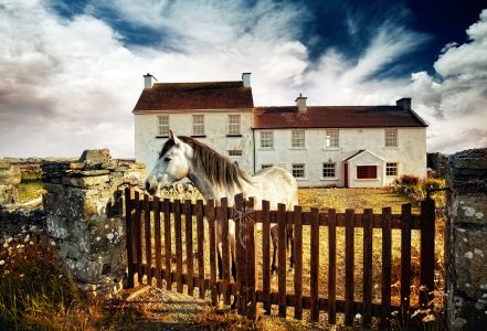 Horse at the Gate Jigsaw Puzzle