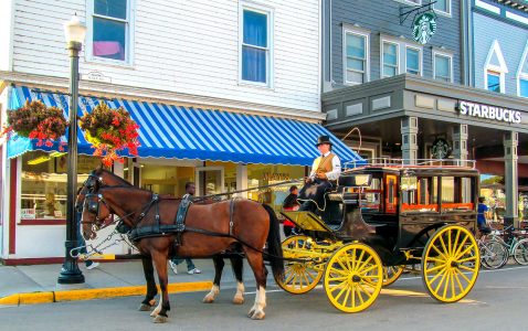 Horse-Drawn Carriage Jigsaw Puzzle