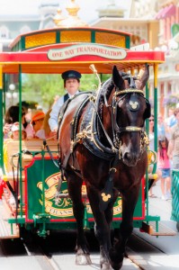 Horse Drawn Tram Jigsaw Puzzle