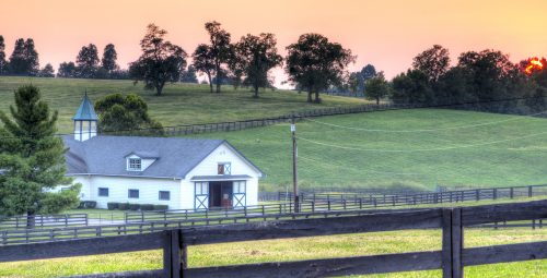 Horse Farm Jigsaw Puzzle