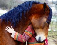Horse Hug