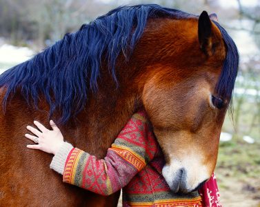 Horse Hug Jigsaw Puzzle