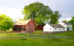 House and Barns