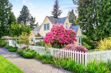 House and Rhododendron