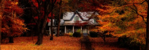 House in Fall Leaves Jigsaw Puzzle