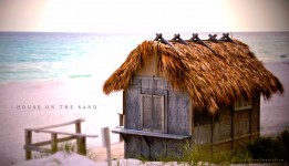 House on the Sand