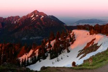 Hurricane Ridge